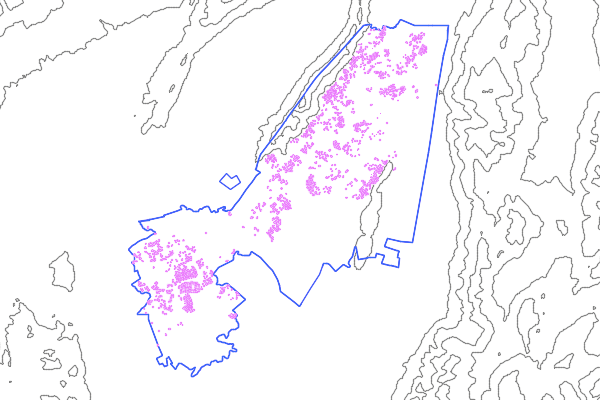 Bogota Settlement Dataset